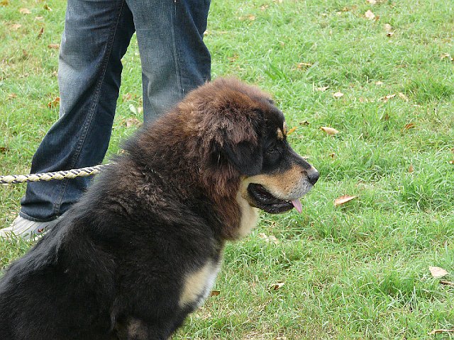 img 056.jpg